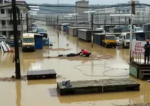 enchente em Juiz de Fora