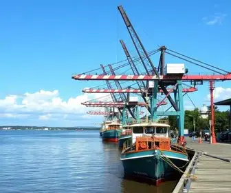 investimento Rocha Porto de Santos